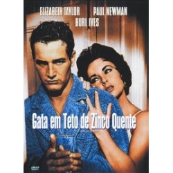 Gata Em Teto De Zinco Quente