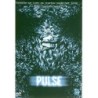 PULSE